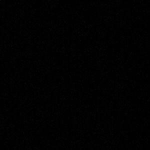 Meet your Posher, Bruno